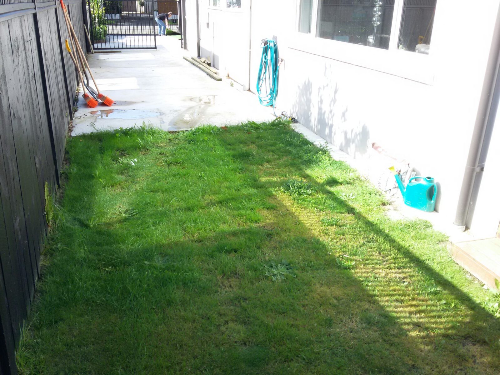 Get rid of the patchy lawn