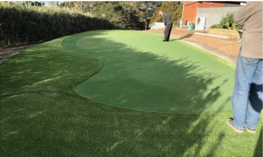 artificial grass golf putt