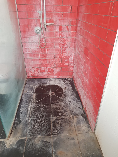Shower Tile Cleaning Transformation in Palmerston North