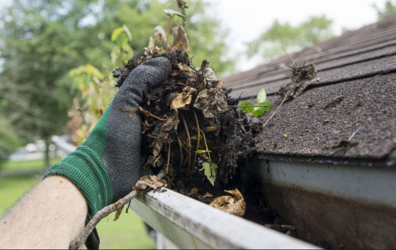 Gutter cleaning