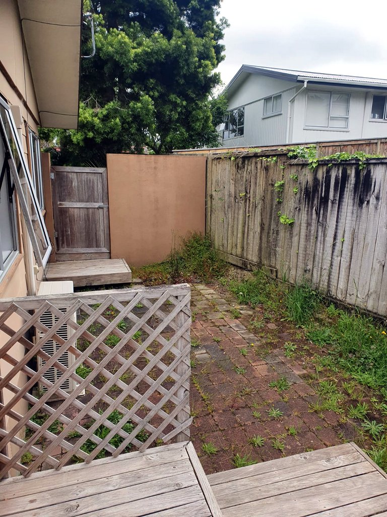 Neglected backyard 1