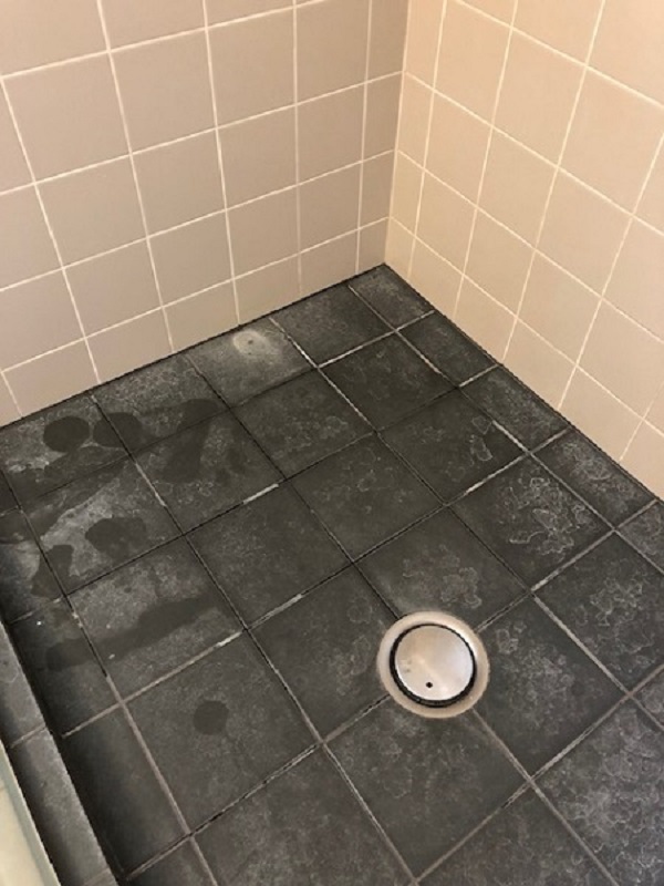 Old shower Tauranga