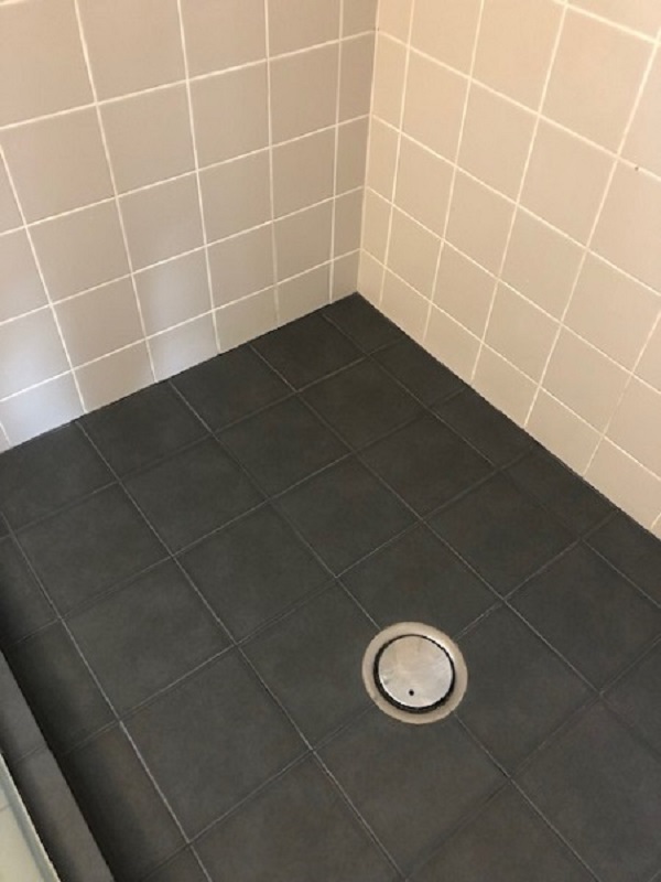 Restored Shower Tauranga