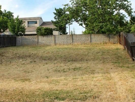 drought damaged lawn hawkes bay