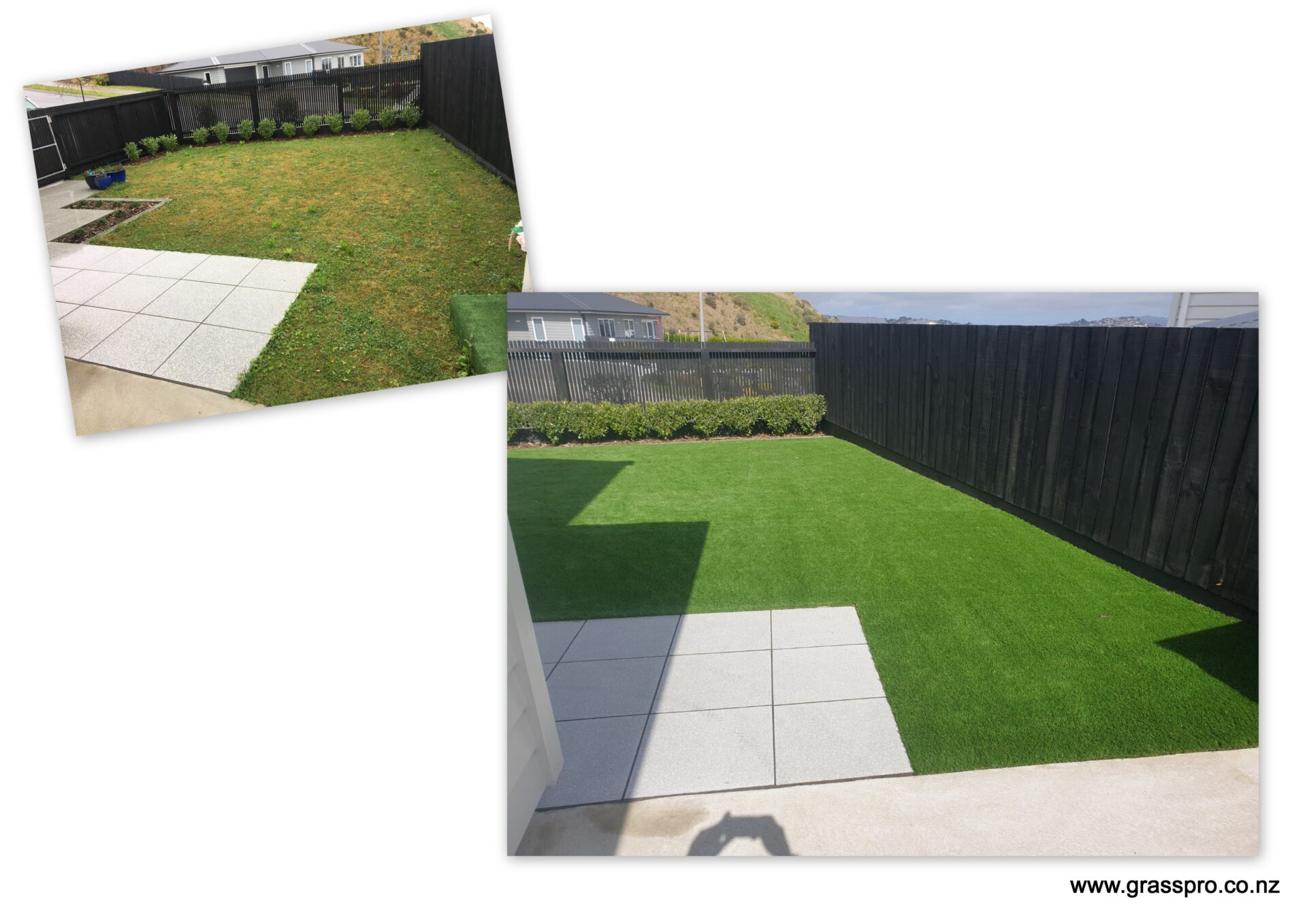 Artificial grass solution Wellington