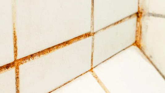 Bathroom tiles with mould